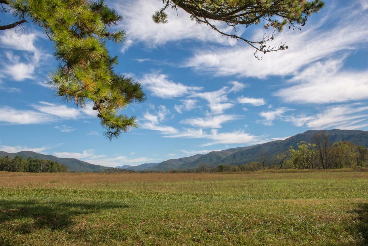 Villa Awesome View Henderson Springs Esterno foto